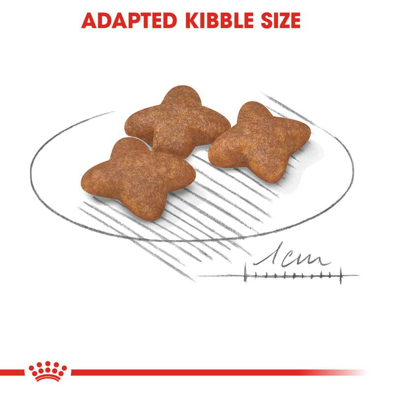  غذای خشک سگ بالغ نژاد کوچک رویال کنین مدل Mini Adult 