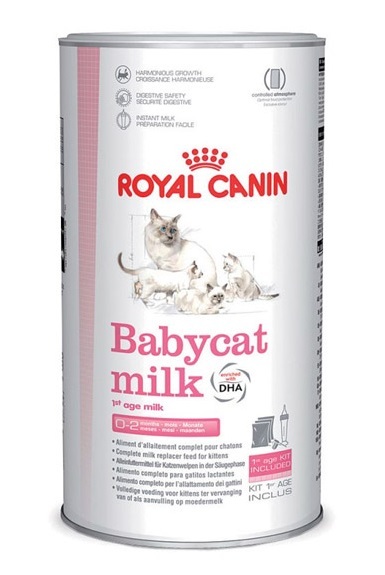 شیرخشک بچه گربه رویال کنین مدل Babycat Milk 